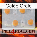 Gelée Orale 24